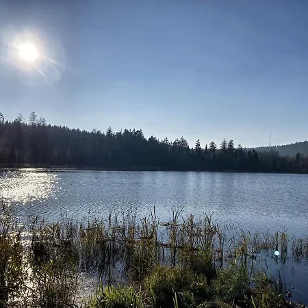 بيت للعطل U Prokopu